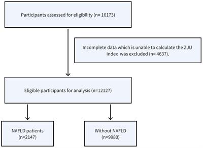 Association between the ZJU index and risk of new-onset non-alcoholic fatty liver disease in non-obese participants: a Chinese longitudinal prospective cohort study